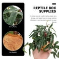 thumbnail image 2 of Miangastore Plantes de Gecko Vert 1Pcs 6.3X6.3X4.9In, 2 of 8