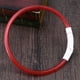 thumbnail image 2 of EeaseMX Collar LED para perro, recargable por USB, brillante, para seguridad nocturna, 50 cm (rojo), 2 of 7