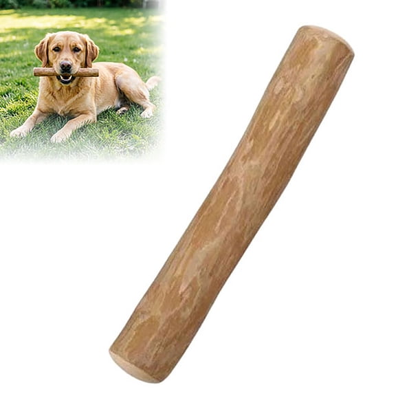 Coffee Wood Dog Chew Stick, Tough Chew Toy for Aggressive Chewers, Dog Teething Toy for Puppies, Coffee Tree Stick for Small Dogs, Chew Stick for Chewing Training, Pack of 1