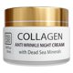 thumbnail image 1 of Crema de noche antiarrugas para rostro Dead Sea Collection con colágeno y minerales marinos - Crema facial nutritiva e hidratante (1.69 fl.oz), 1 of 5
