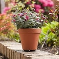 thumbnail image 5 of 24pcs Pot Feet For Outdoor Plant Natural Rubber Flower Pot Mat Invisible Plant Pot Risers Pad, 5 of 5