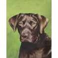 thumbnail image 2 of Sands, Jill 15x18 Gold Ornate Wood Framed with Double Matting Museum Art Print Titled - Dog Portrait-Chocolate, 2 of 4