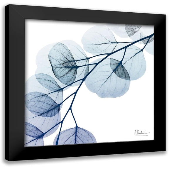 Koetsier, Albert 12x12 Black Modern Framed Museum Art Print Titled - Blue Eucalyptus 1