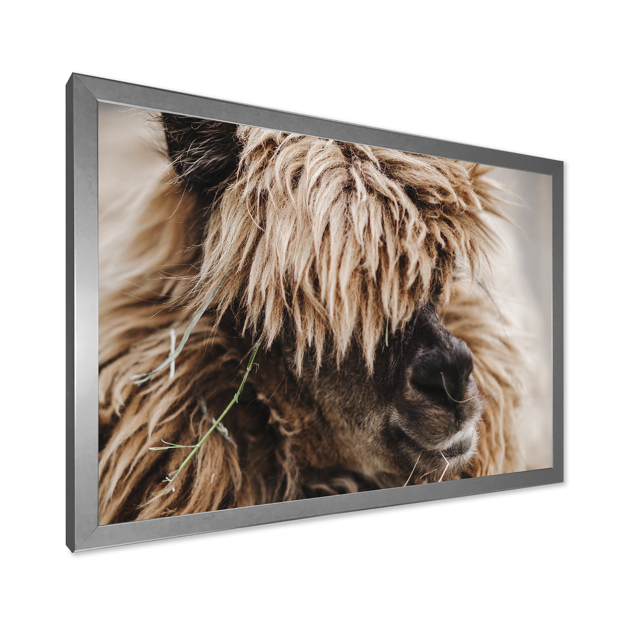 Designart 'Close Up Of Fluffy Curly Alpaca' Farmhouse Framed Art Print