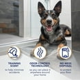 thumbnail image 4 of Scott Pet Guard Advanced Dog Pads - Dog Training Pee Pads for Puppies, Medium & Large Dogs - XL - 30" x 36" - 40 pack, 4 of 4
