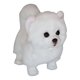 thumbnail image 1 of Cartoon Toys Realistic Pomeranian Dog Ornaments for Kids/Adults Relieve Stress Supplies Plush Cartoon Toy Fine Material, 1 of 4