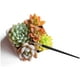 thumbnail image 5 of Herramienta de jardín, herramientas de jardinería, suculentas, plantas en miniatura, herramientas de mano, tijeras, rociador, rastrillo, cizalla de podar, 15 uds. TUNC Sencillez, 5 of 5