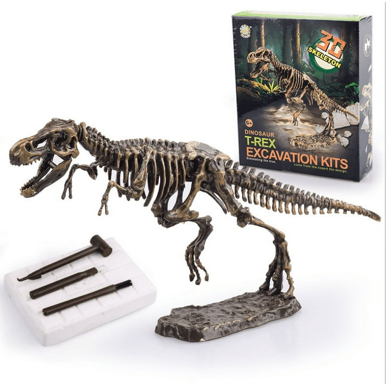 KidzLabs Dig A Pteranodon Skeleton Kit - Fossil Excavation Set For Kids Ages 8+
