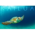 thumbnail image 3 of Kailua, Sea Turtle Swimming (100% Cotton Tea Towel, Decorative Hand Towel, Kitchen and Home), 3 of 3