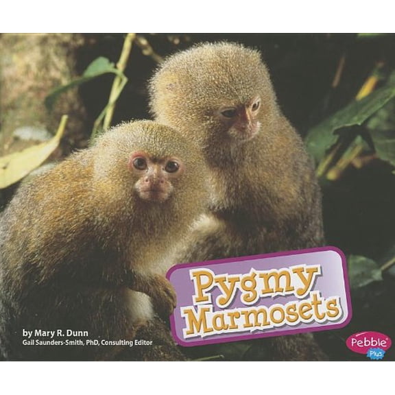 Pre-Owned Pygmy Marmosets (Monkeys), 9781620651070, 1620651076, Paperback,