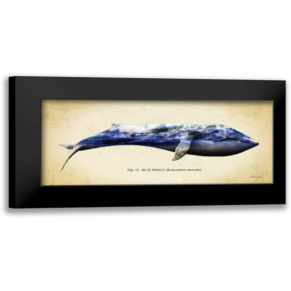 Hausenflock, Alan 14x8 Black Modern Framed Museum Art Print Titled - Blue Whale