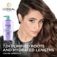 thumbnail image 3 of Set de champú y acondicionador L'Oreal Paris Elvive Hyaluron, 3 of 9