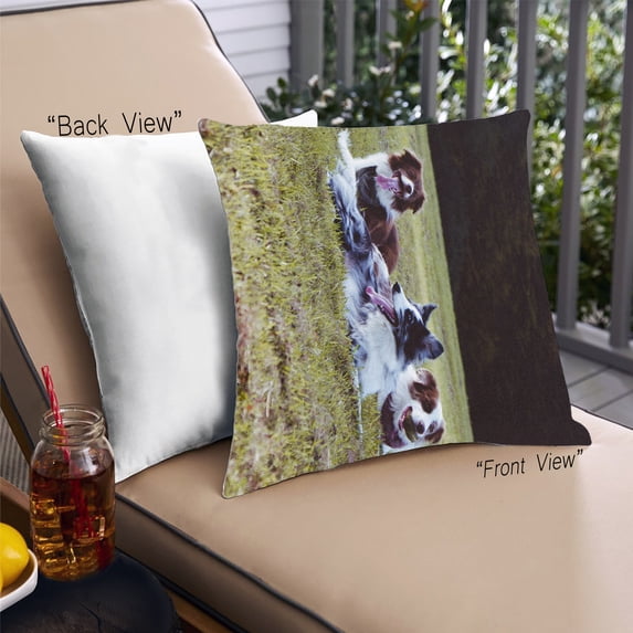 Ahgly Company Dogs Dogs Outdoor Throw Pillow, 18 inch by 18 inch