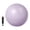 Violet, variant on Almencla Small Exercise Ball Ab Workout with Pump Fitness Equipment Yoga Pilates Ball Oatmeal White