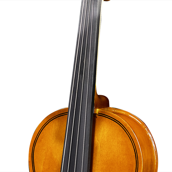 3/4 Acoustic Violin with Hard Case, Violin Bow, Shoulder Rest, Rosin, Extra Strings and Sourdine