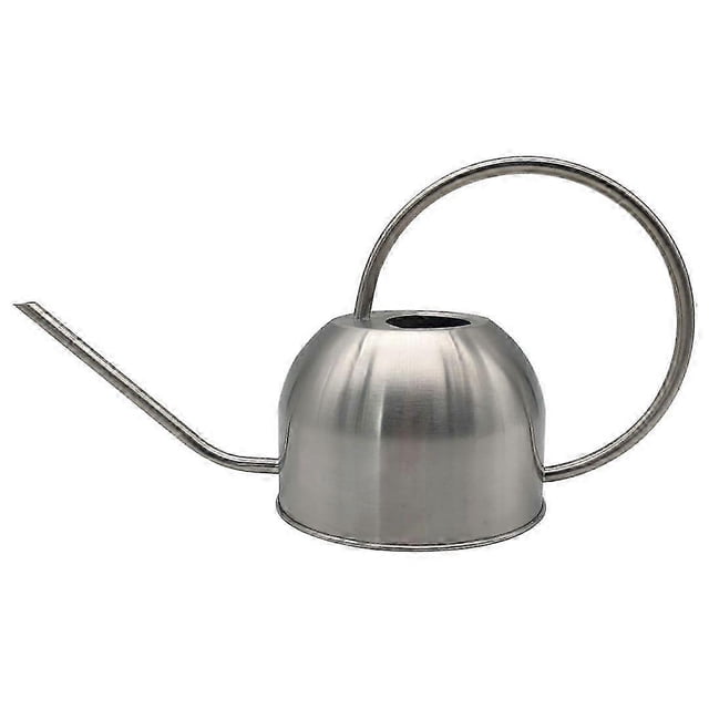 Stainless Steel Watering Can for Indoor Outdoor Use 50 oz/1500 ml