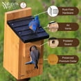 thumbnail image 3 of Nido Bird House Nature's Way CWH3 con forma de cedro y pájaros azules, 3 of 6