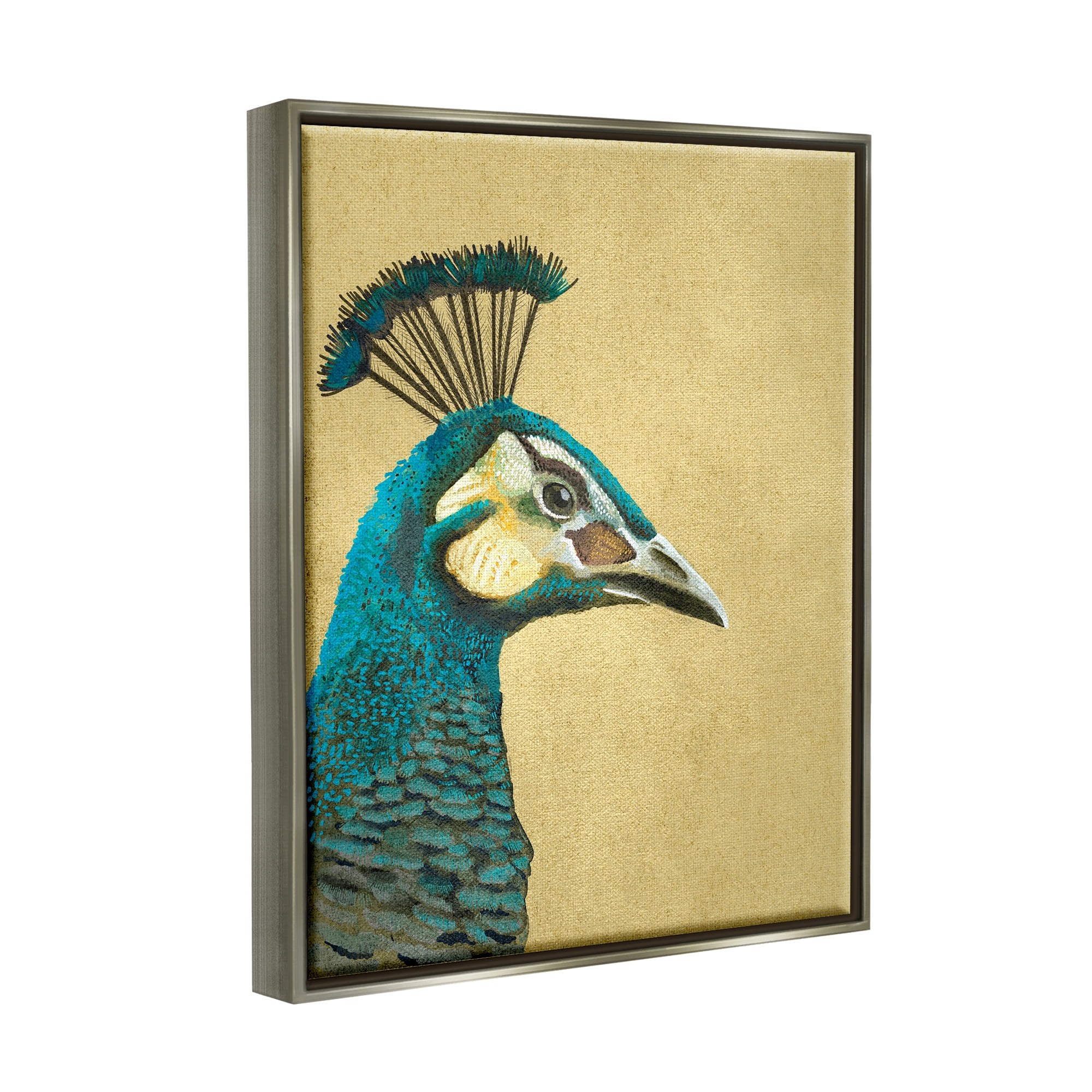 Stupell Industries Peacock Looking Right Animals & Insects Painting Gray Floater Framed Canvas Art Print Wall Art, 17 x 21