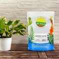 thumbnail image 2 of Christmas Cactus Potting Soil Mix (4 Quarts) Custom Blend for Xmas, Easter, and Thanksgiving Cactus Tropical Indoor Houseplants, 2 of 3