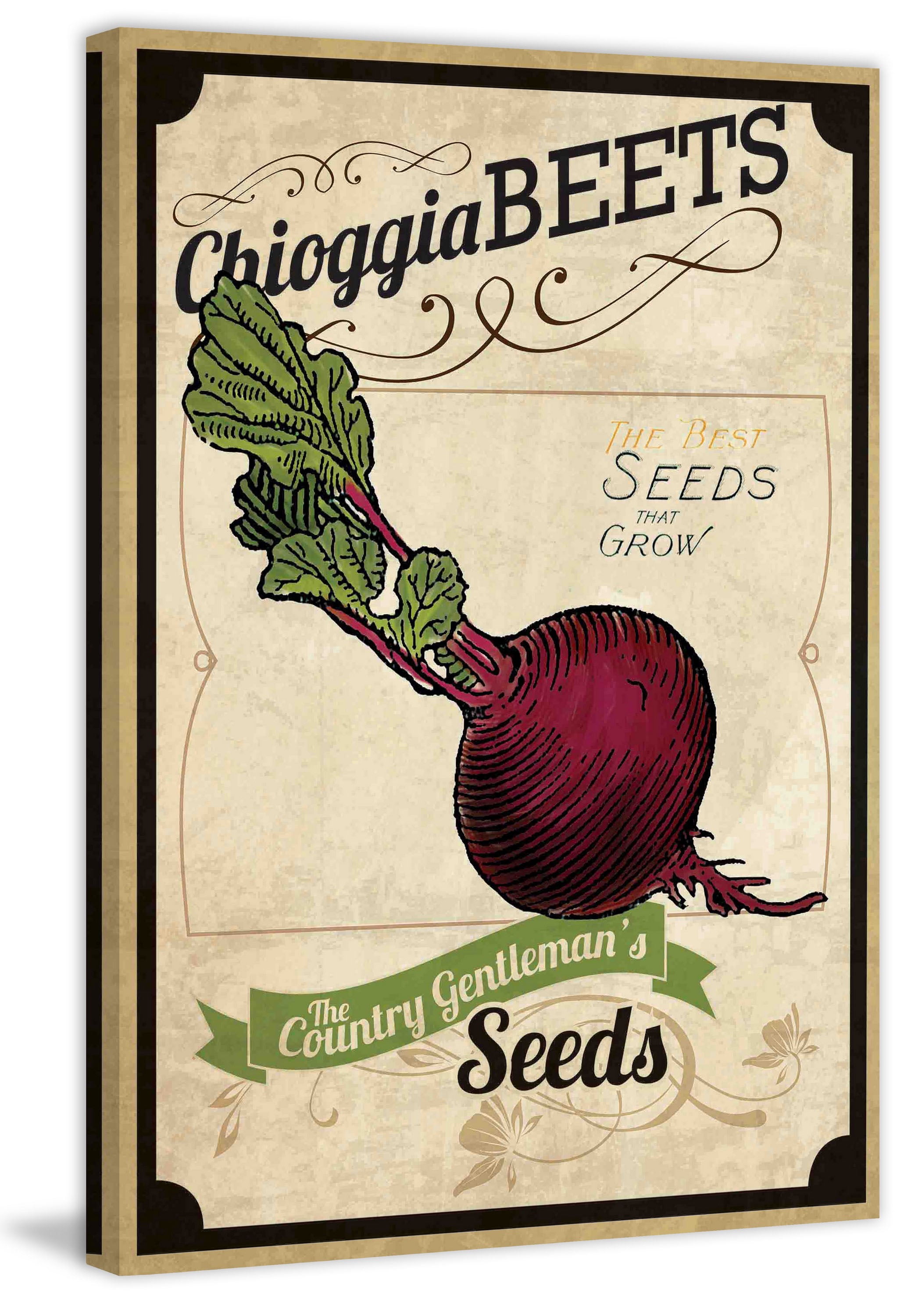 "Seed Packet Beet" Painting Print on Wrapped Canvas