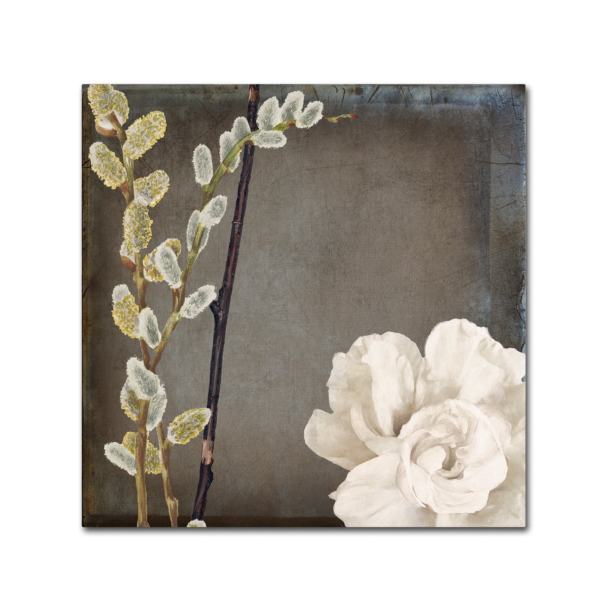 Trademark Fine Art "India I" Canvas Art by Color Bakery