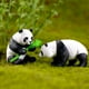 thumbnail image 5 of Bewildely decorativa de Panda de 4 Uds., adornos lindos, accesorio de Animal, miniaturas de simulación de paisaje, regalo de Micro Decoración del hogar Pequeño, 5 of 6