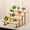 4, variant on Wood Plant Stand, Ladder Bamboo Display Rack, 4 Tier Statues Displays, Freestanding Planter Holder for Multiple Plants, Multi Tier Plant Holder Flower Pot Display Rack for Patio Garden Home