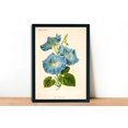 thumbnail image 3 of Morning Glory Vintage Lithograph (1832-1922) - Giclee Fine Art Print -Painting Art, Dining Room Wall Decor Ideas, Art Deco Frameless 8x10inch, 3 of 6