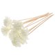 thumbnail image 1 of 10pcs pequeños chrysanthemum perfumado rattan palitos de lata fragancia natural difusor aroma aroma difusor de ratán para decoración del hogar (blanco), 1 of 8