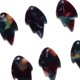 thumbnail image 3 of Colgantes de hojas de acrílico al por mayor, para joyas, piezas Violeta, 3 of 7