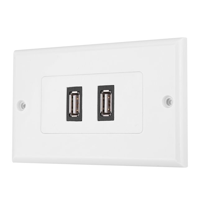 ABS USB Wall Plate USB Plate, Wall Plate, Dual Port For Hotel Office Building Home