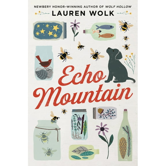 Echo Mountain, (Hardcover)