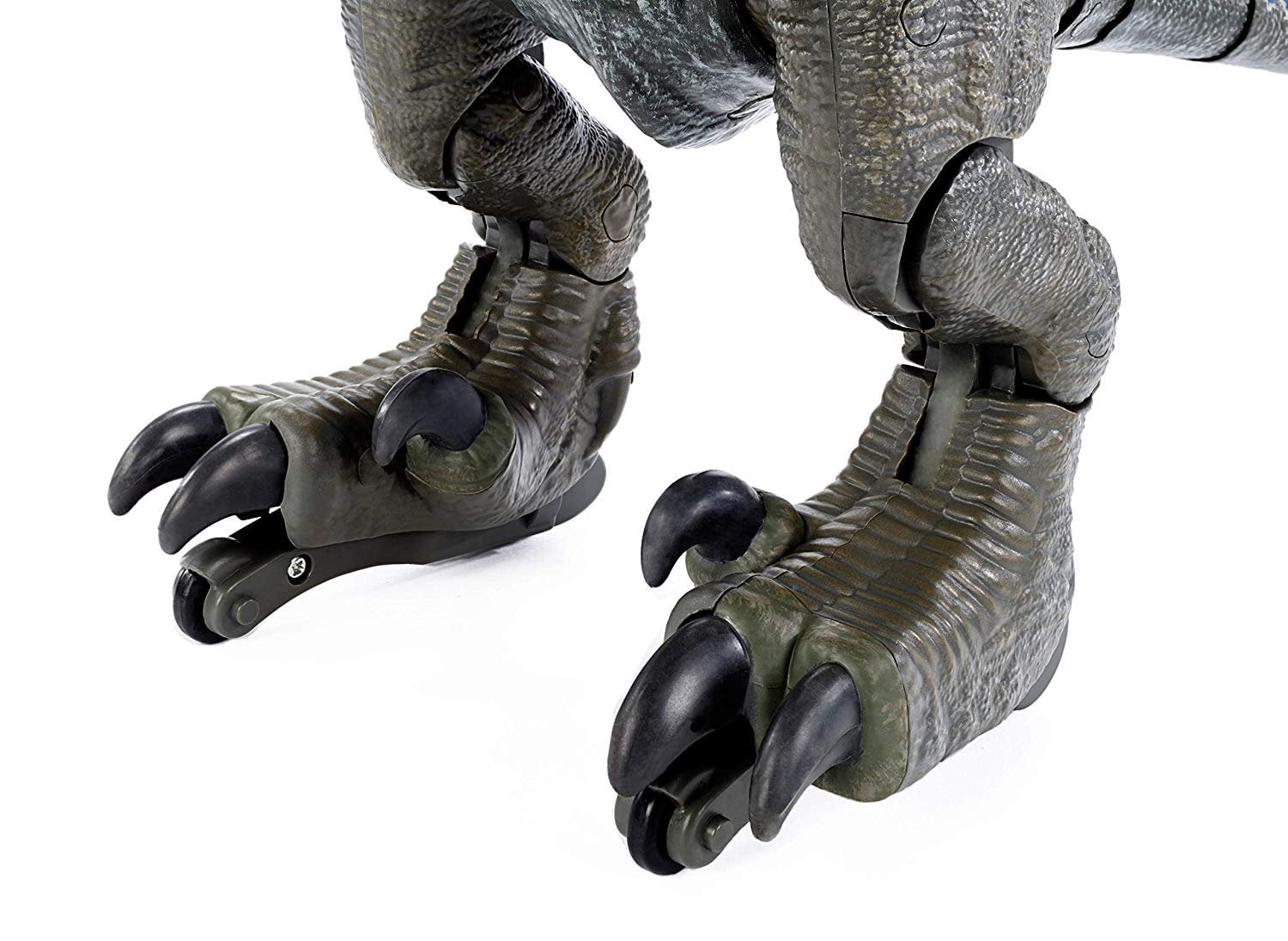 Jurassic World Alpha Training Blue Walmart Com Walmart Com Jurassic World Alpha Training Blue Walmart Com Walmart Com
