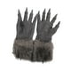 thumbnail image 1 of Guantes de hombre lobo Fernando Accesorio de disfraz de uñas largas, 1 of 8