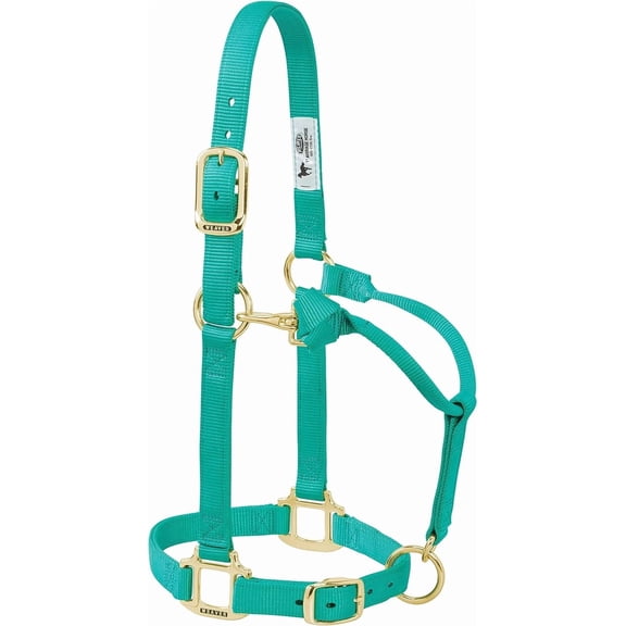 Weaver Leather Original Adjustable Nylon Weanling / Suckling / Arabian Horse Halter 3/4" Teal Green / Weanling
