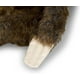 thumbnail image 3 of Peluche de perezoso de peluche realista de Melissa & Doug, 3 of 7