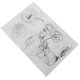 thumbnail image 4 of Hoja de sello de goma de silicona para tarjeta de álbum de álbum de recortes de bricolaje mayimx Sello de goma, 4 of 9