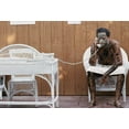 thumbnail image 2 of The Player (Criterion Collection), 2 of 3