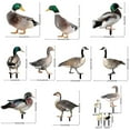 thumbnail image 4 of Decoración de pato Farfi, estatua de aves de corral de jardín acrílica rústica con impresión de doble cara, realista, realista, para patio, 4 of 5