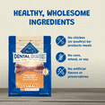 thumbnail image 4 of BLUE Bones Small Size Dog Dental Chews, 4 of 8