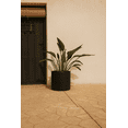thumbnail image 1 of Maceta Hortensia40, 1 of 4