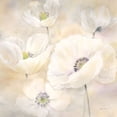 thumbnail image 2 of Coulter, Cynthia 20x20 Black Ornate Wood Framed with Double Matting Museum Art Print Titled - White Poppies II, 2 of 4