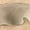 Beige, variant on Womens Underwear Seamless Women's Lace Abdomen Mid-Rise Waist and Hip Lift Comfortable Body Breathable Underwear Briefs Beige Xl