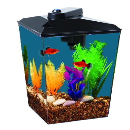 Aqua Culture 1-Gallon Aquarium Kit, LED Lighting and Internal Power Filter, 7.5"L x 7.5"W x 10.25"H