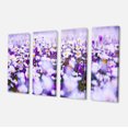 thumbnail image 2 of Panorama de Photographie de Champ de Marguerites - Impression d'Art Floral sur Toile, 2 of 3