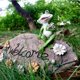 thumbnail image 3 of Estatua de rana, signo de bienvenida de piedra, escultura para el hogar, decoración de jardín interior y exterior TUNC Sencillez, 3 of 5