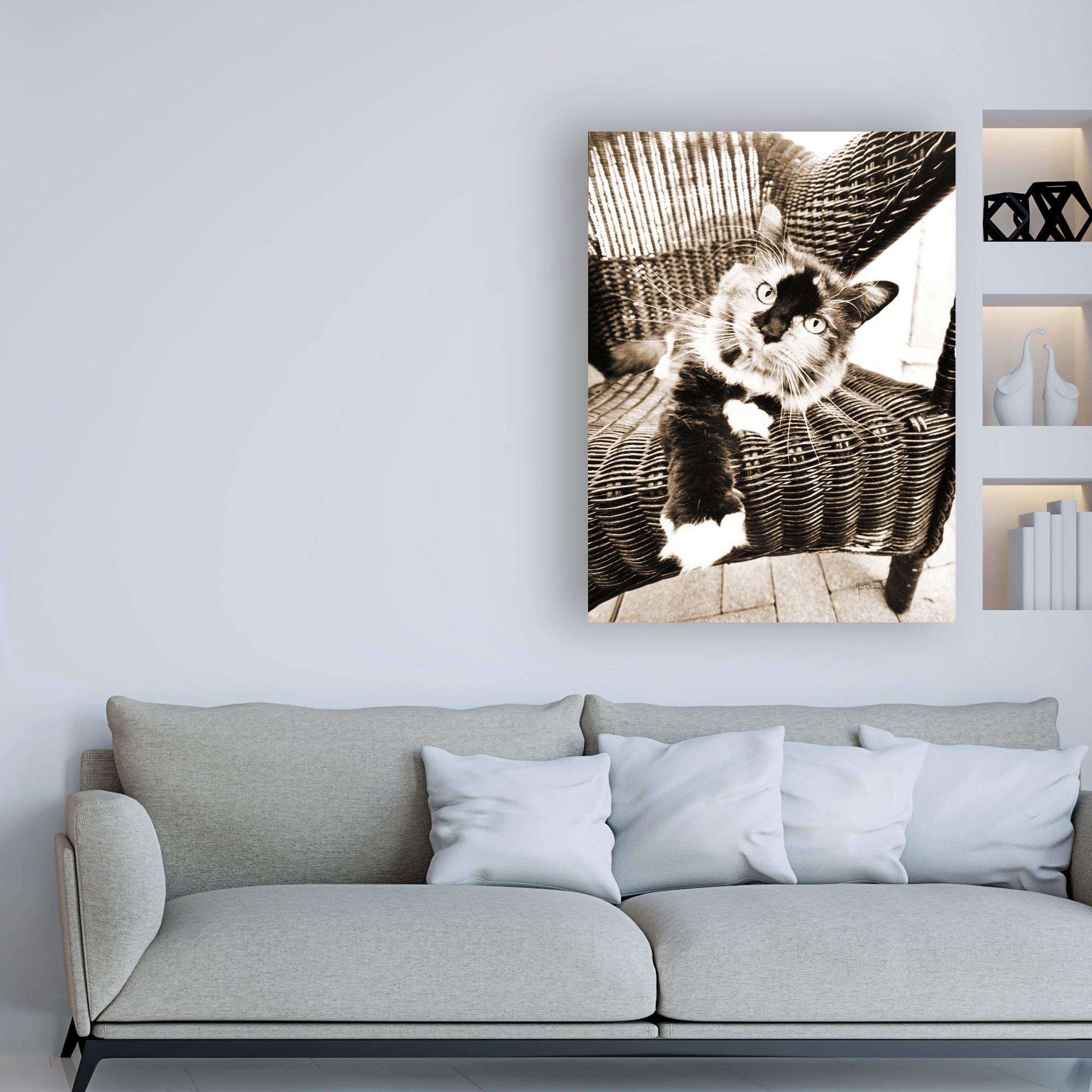 Trademark Fine Art 'Kitty IV' Canvas Art by Jim Dratfield