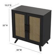 Twin Star Home Accent Cabinet in Black