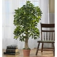thumbnail image 5 of Nearly Natural 5305 Arbre en Soie de Schefflera de 4 Pouces (Toucher Réaliste), 5 of 5