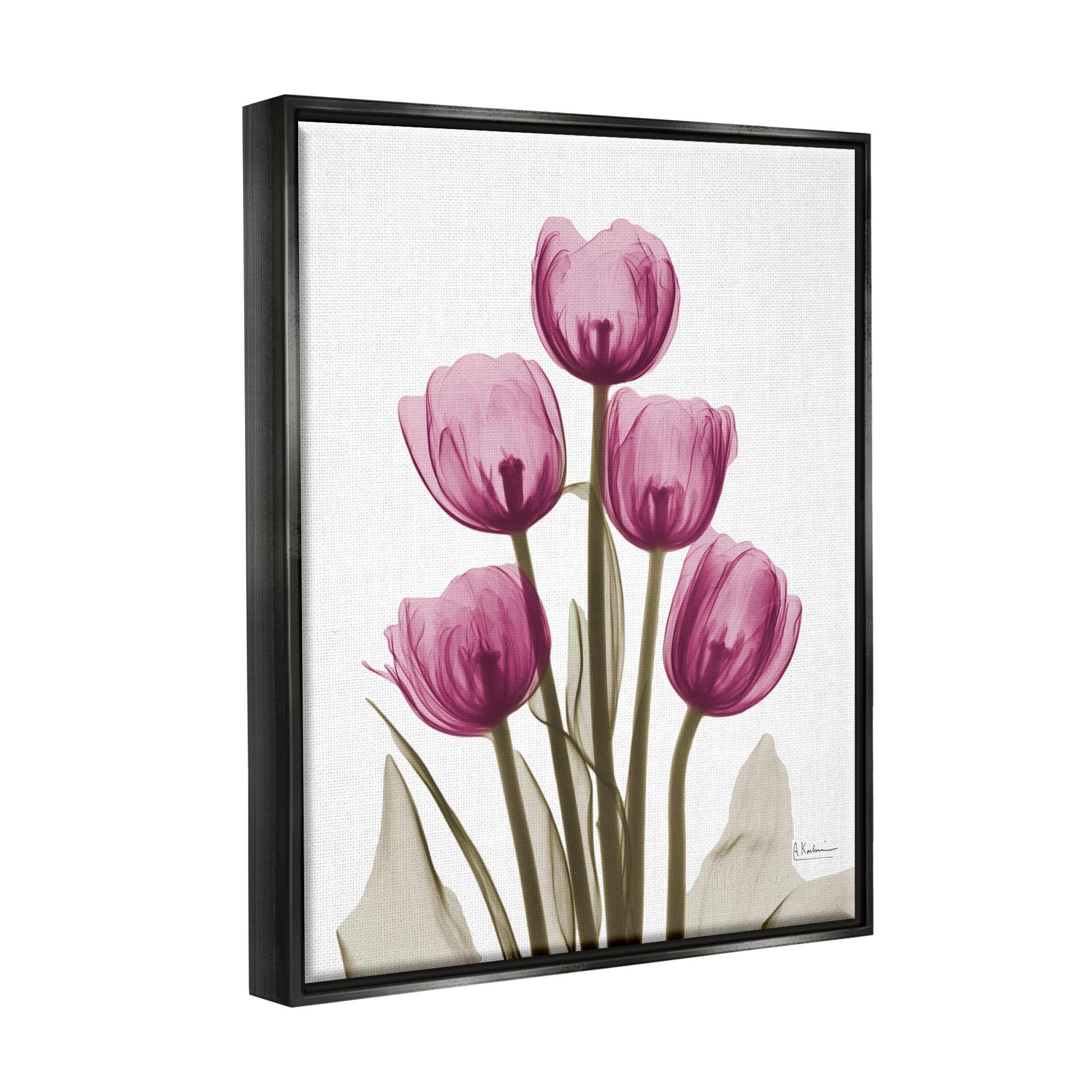 Stupell Industries Pink X-Ray Tulips Botanical & Floral Photography Black Floater Framed Art Print Wall Art, 25 x 31